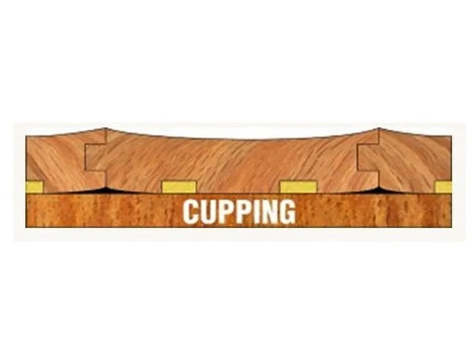 Cupping dont-replace-the-floors-blog-image