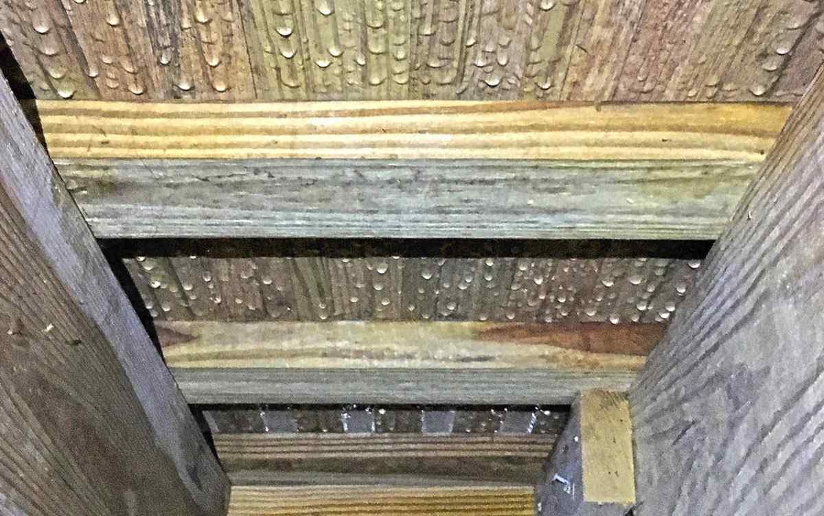 Humidity on crawl space ceiling in Pensacola, FL<br />