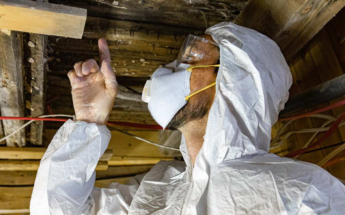 A man in a crawl space in Pensacola, FL<br />