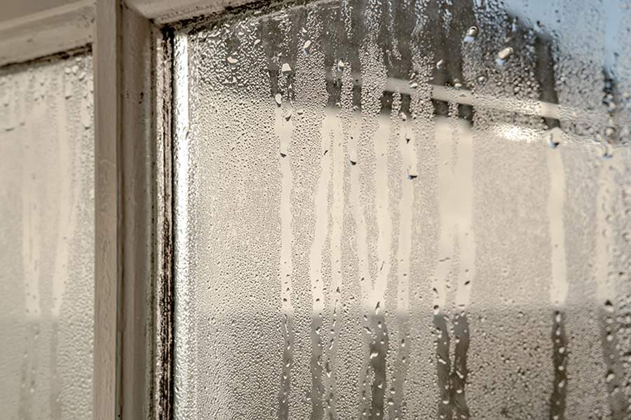 A window with condensation in Pensacola, FL<br />