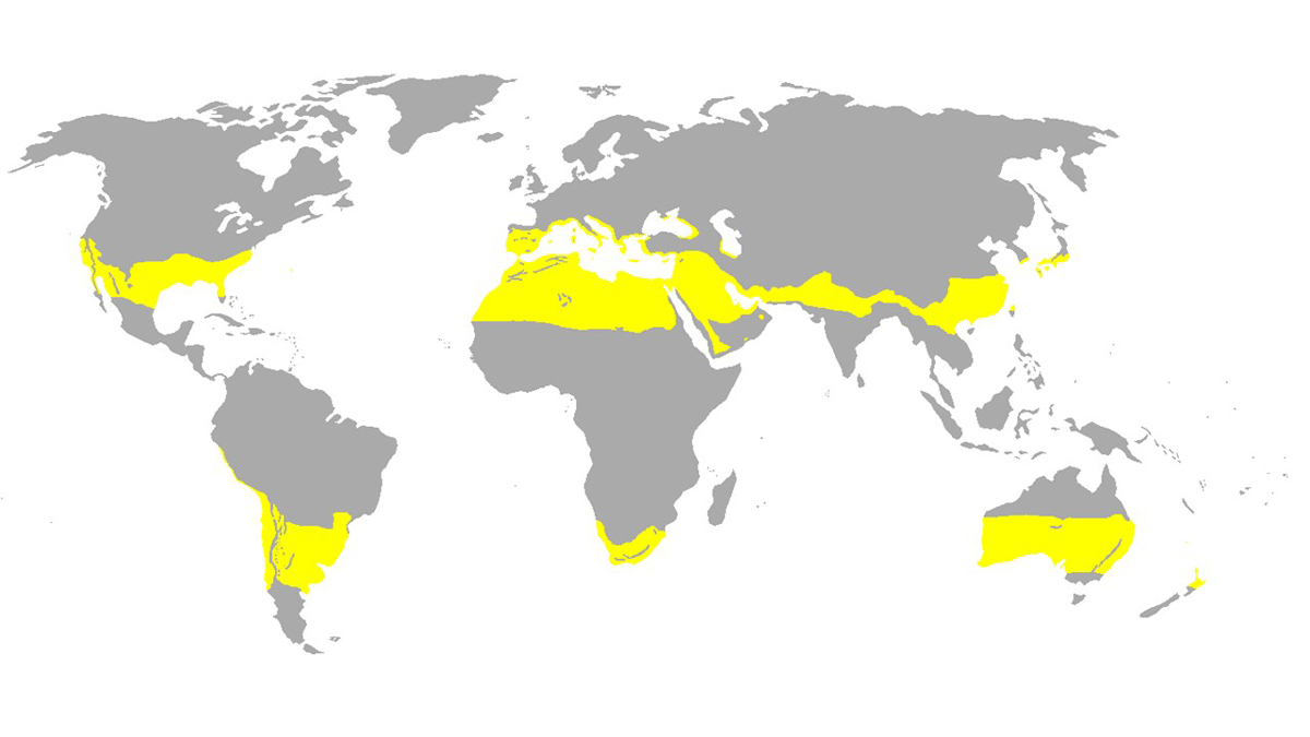 subtropical climate zones