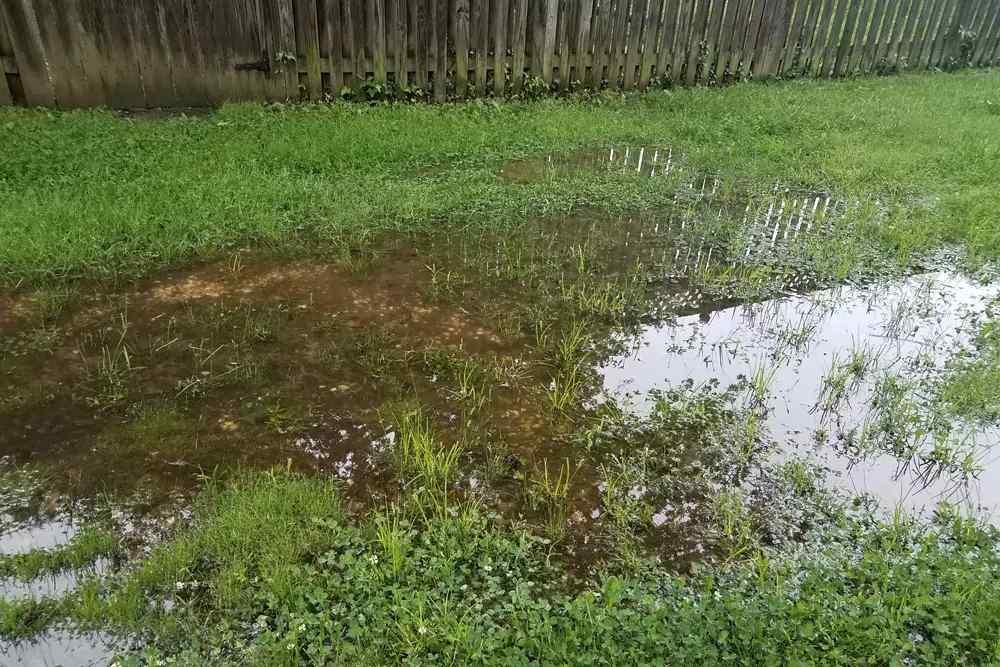 high-water-tables High water tables are affecting your homes in Pensacola, FL