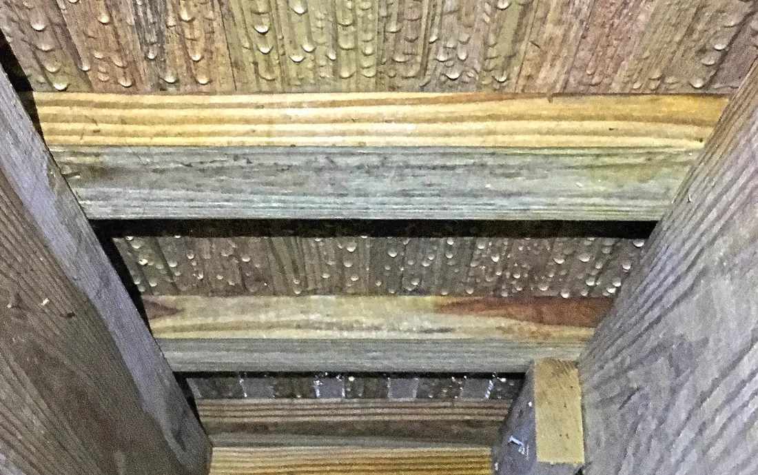 Excess humidity in the crawl space is leading to structural damage in Pensacola, FL